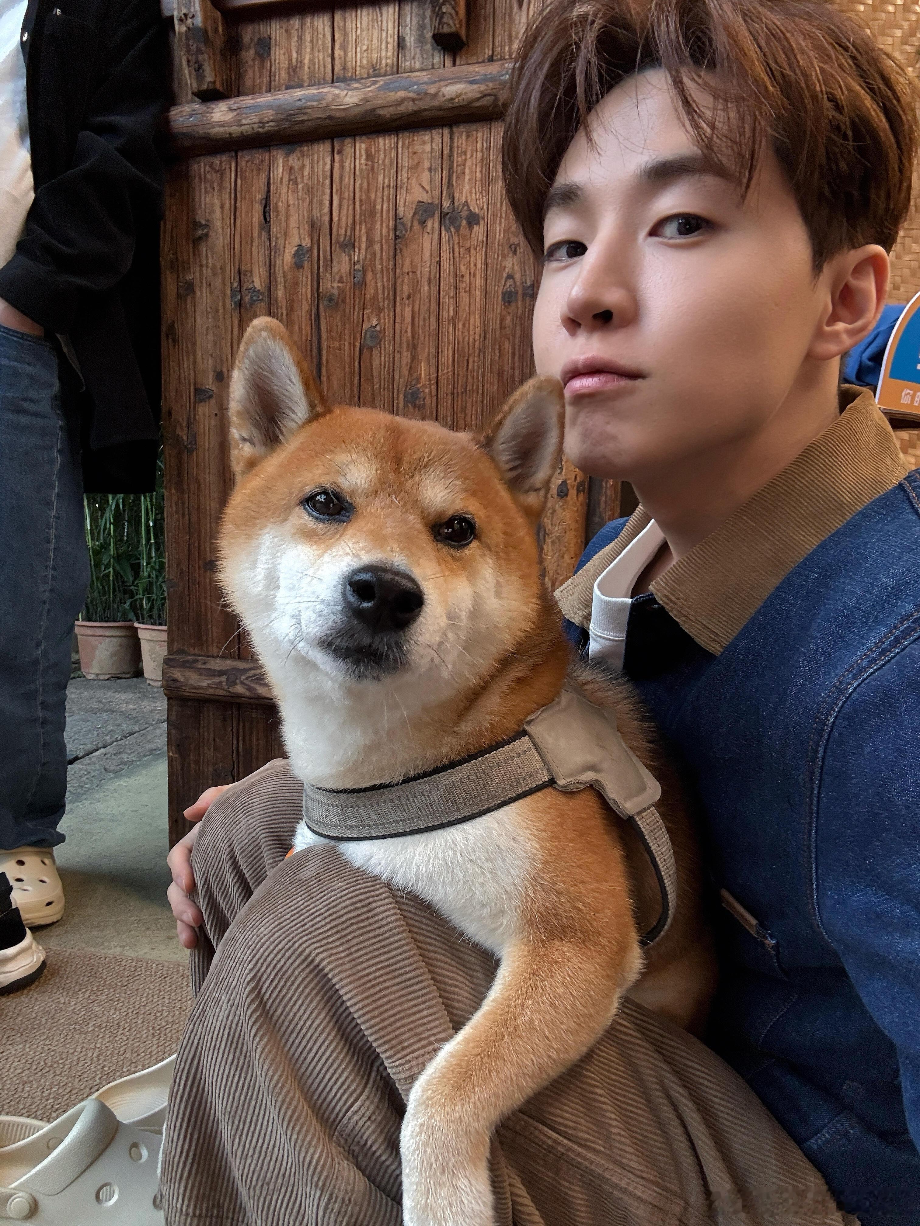 大华回向往的生活啦，一人一狗老友重逢和小h的九连拍，好不容易回来一次是要好好留念