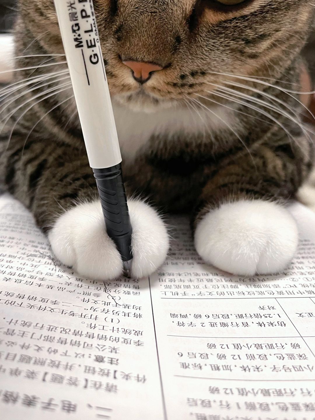 放弃了...孩子两岁连笔都不会握，不想鸡娃了