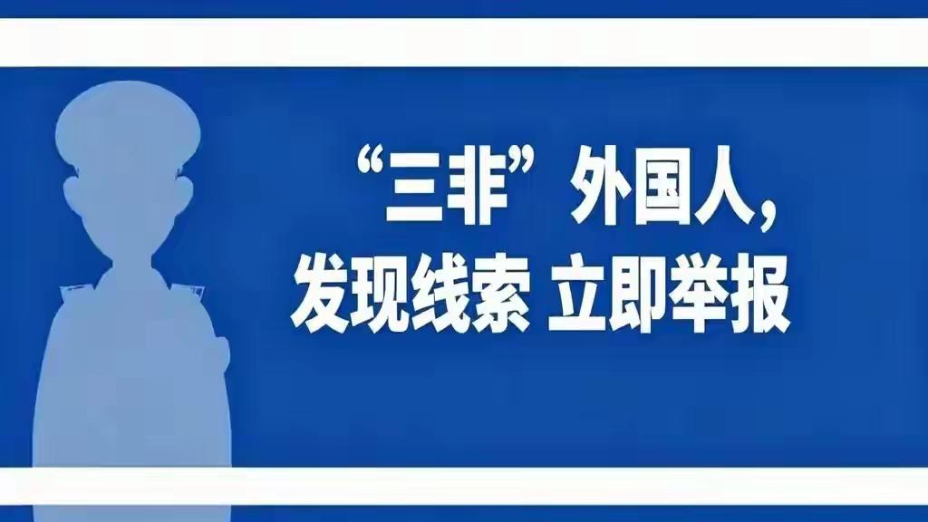 发现非法入境打110完全可以的，
还能拨打国家移民管理局热线，12367,
24