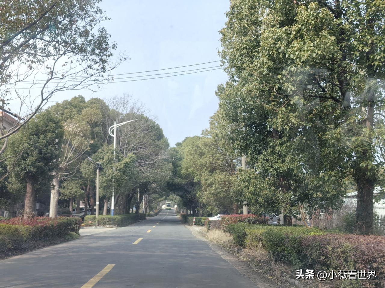 一上午真是马不停蹄，这里转到那里，辗转三个地方，把我娘家清明前最重要的扫墓任务完