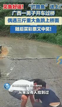 “这就是命啊！”9月10日广西桂林一男子驾车过桥时，有条3斤重的大鱼主动跳到车前