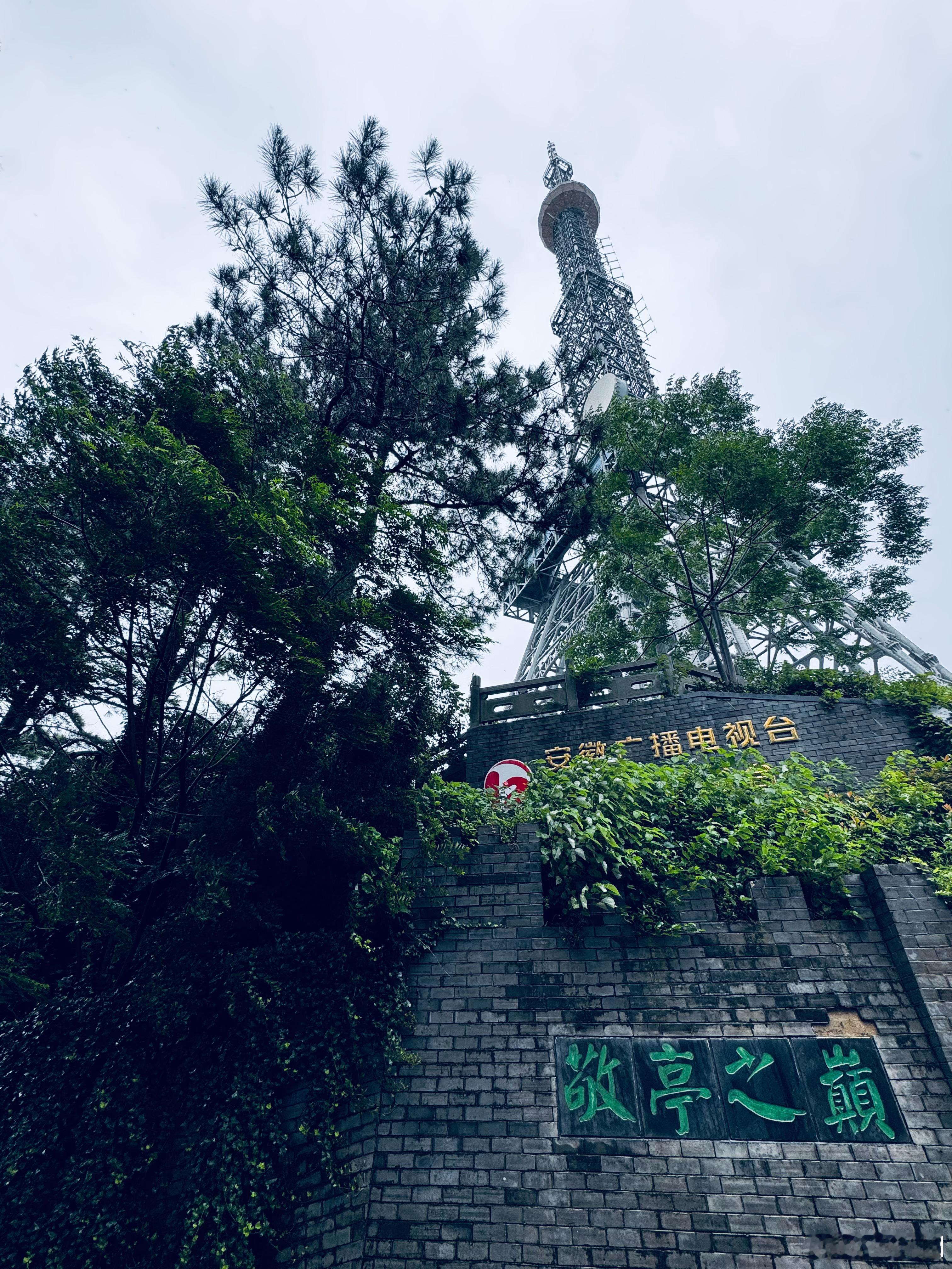 商业社会总是你方唱罢我登场 