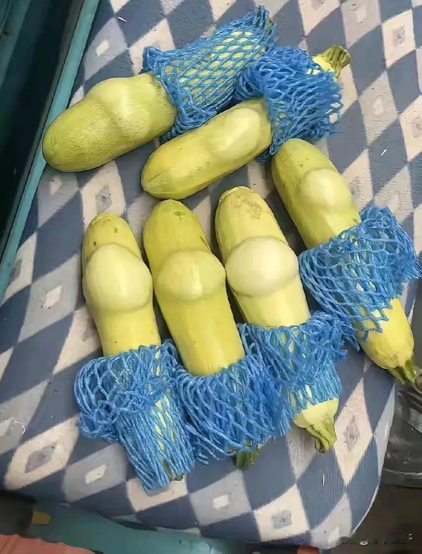刚才刷到一个网友放冰箱冷藏几天的西葫芦，我直接下了一跳，我一直认为西葫芦是比较安