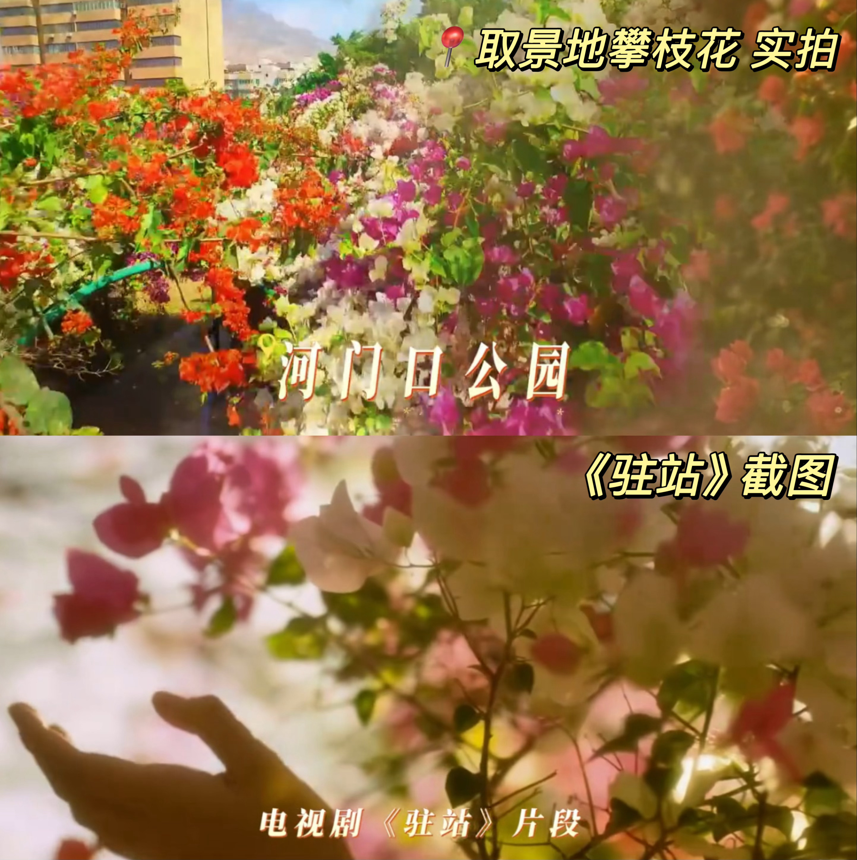 驻站在攀枝花取景的原因找到了 《驻站》的取景地原来是是四川的攀枝花！！突然就想去