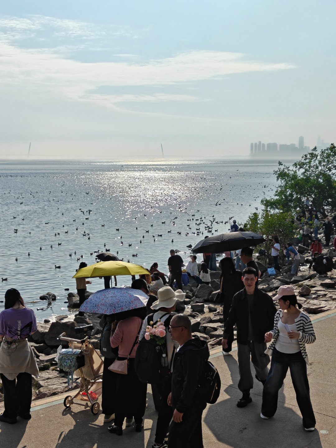 不是，工作日，人比海鸥多？？ 