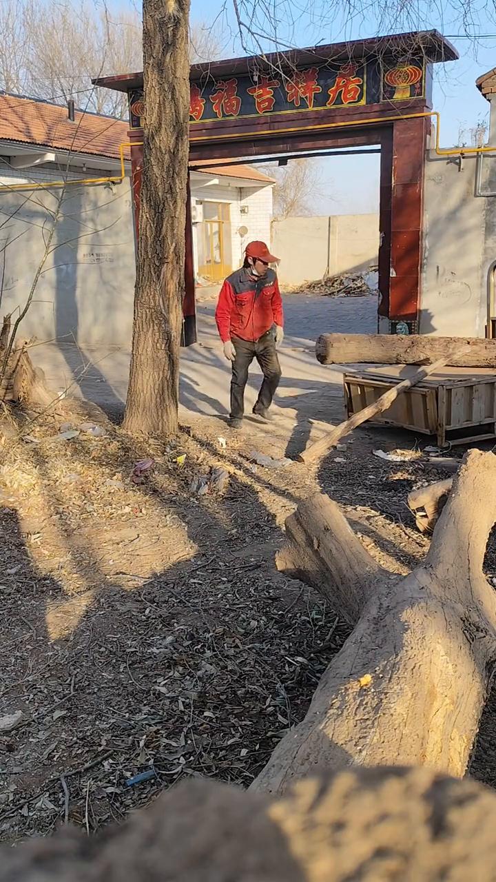 砸了脚自己揉揉，还是要把木头搬上去。
装上车拉到工坊去，然后量好尺寸，掂量掂量好