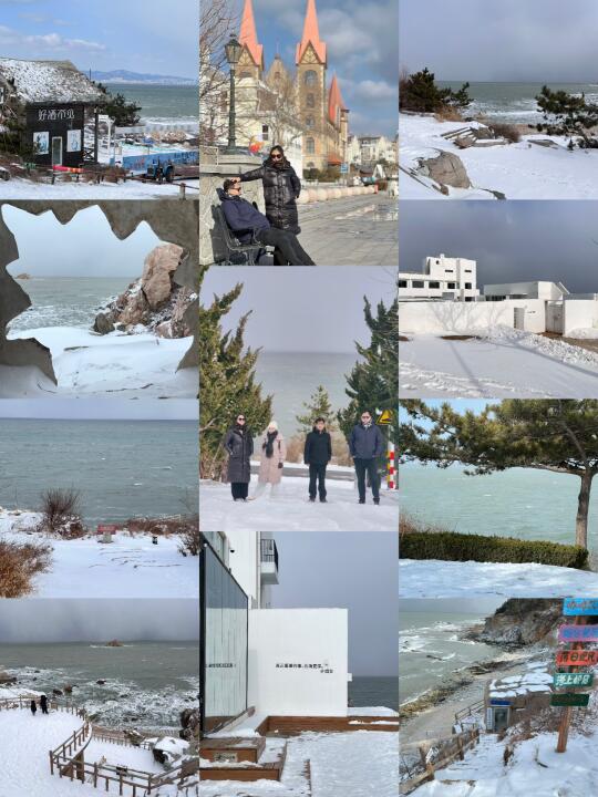 雪后养马岛live图实况（新年快乐🎉）