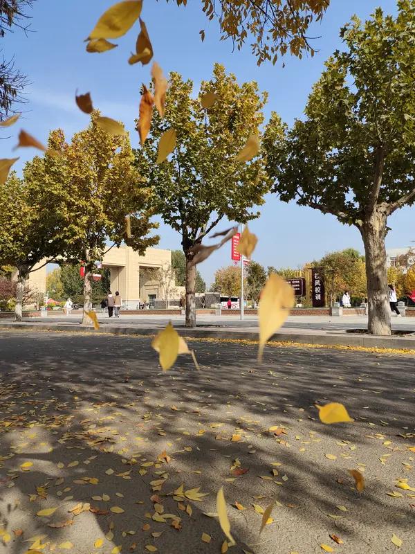 爱情，的确有着神奇魔力，能让秋风都学会温柔缱绻。
它隐匿在诗词之中，“执子之手，