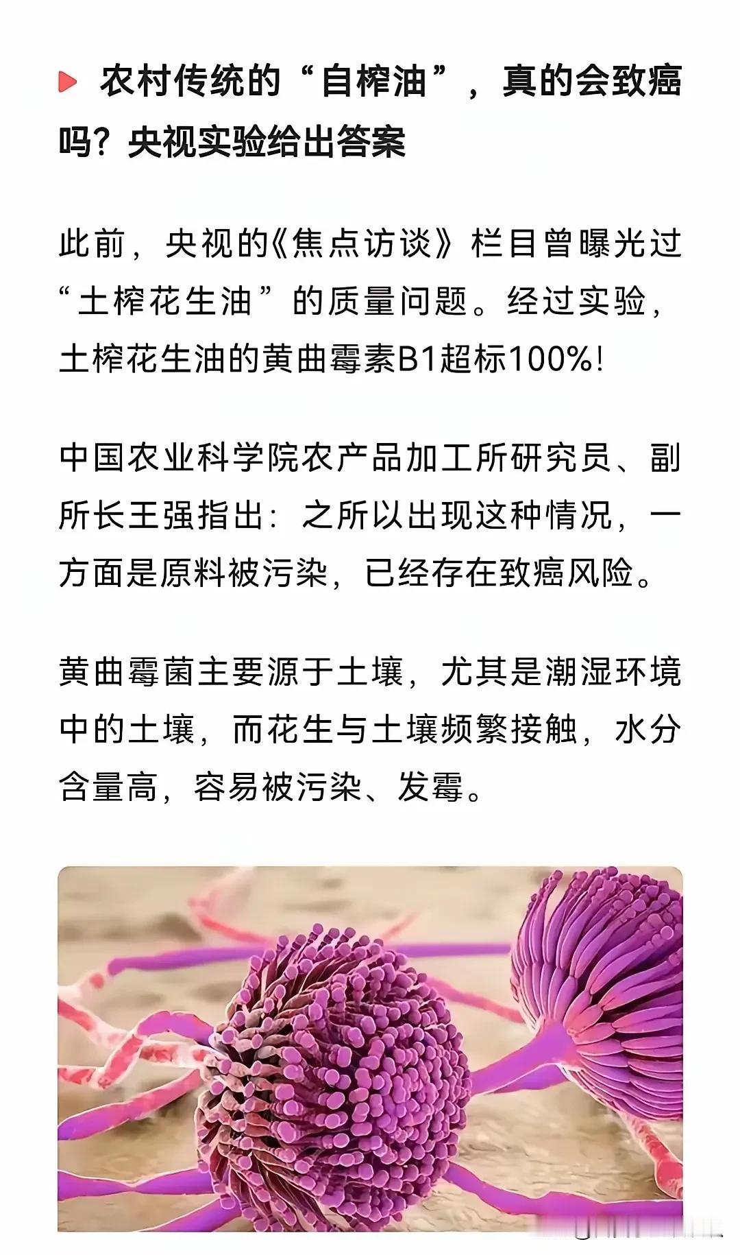 中国农科院的副所长王强专家明确表态：自榨油存在致癌的风险！他的话犹如一颗炸弹，瞬