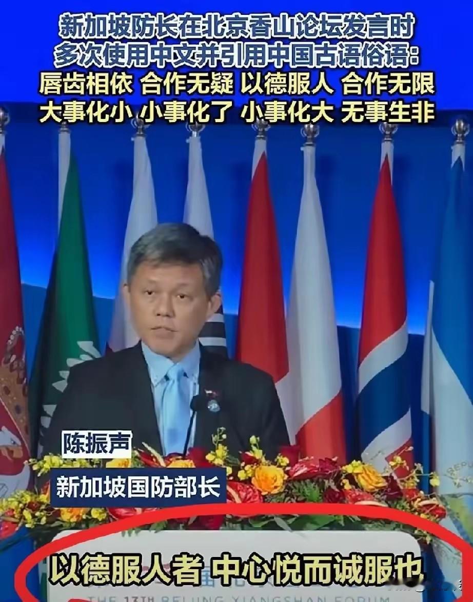新加坡国防部长陈振声在湘潭论坛上用英文发言。比如在讲到中国古语俗语的时候，却切换
