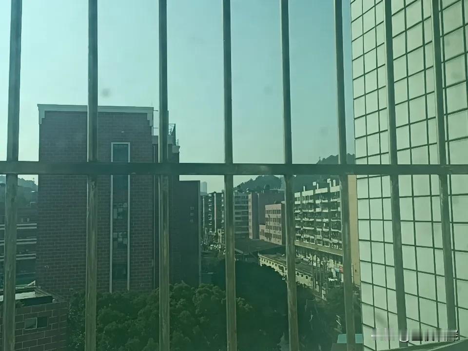 说实话，今年冬天真的太‘假’了！往年这时候，贵阳早就湿冷得让人想钻被窝，羽绒服必