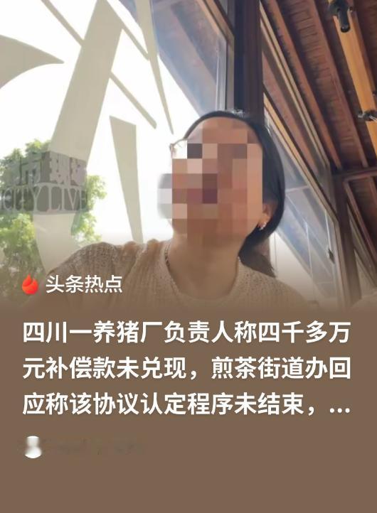 四川成都，一男子的养猪场面临征迁，街道办承诺补偿4200万，称签后10天先付七成