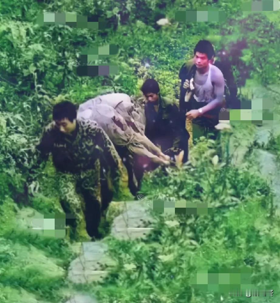 向对越反击战的英雄致敬！
战士们拼死从前沿夺回来的烈士遗体，但面对故人猛烈的炮火