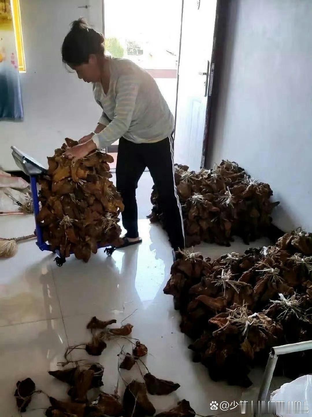这才是真正的大户人家，太让人羡慕了 ​​​