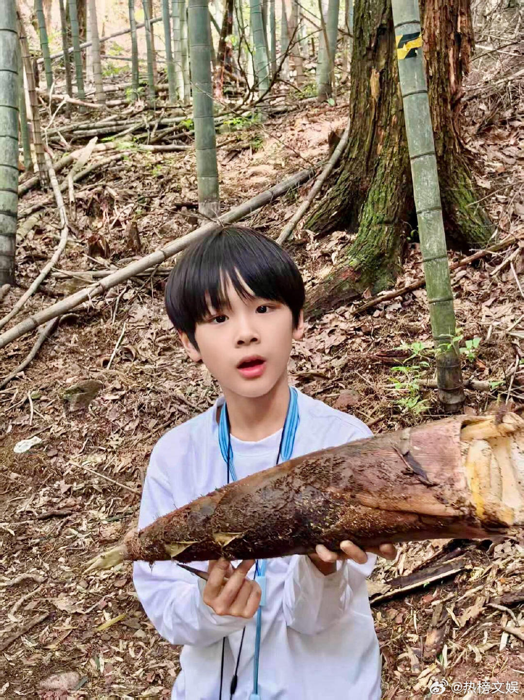 黄圣依小儿子9岁近照黄圣依小儿子9岁身高黄圣依小儿子9岁近照，这孩子不仅长得像妈