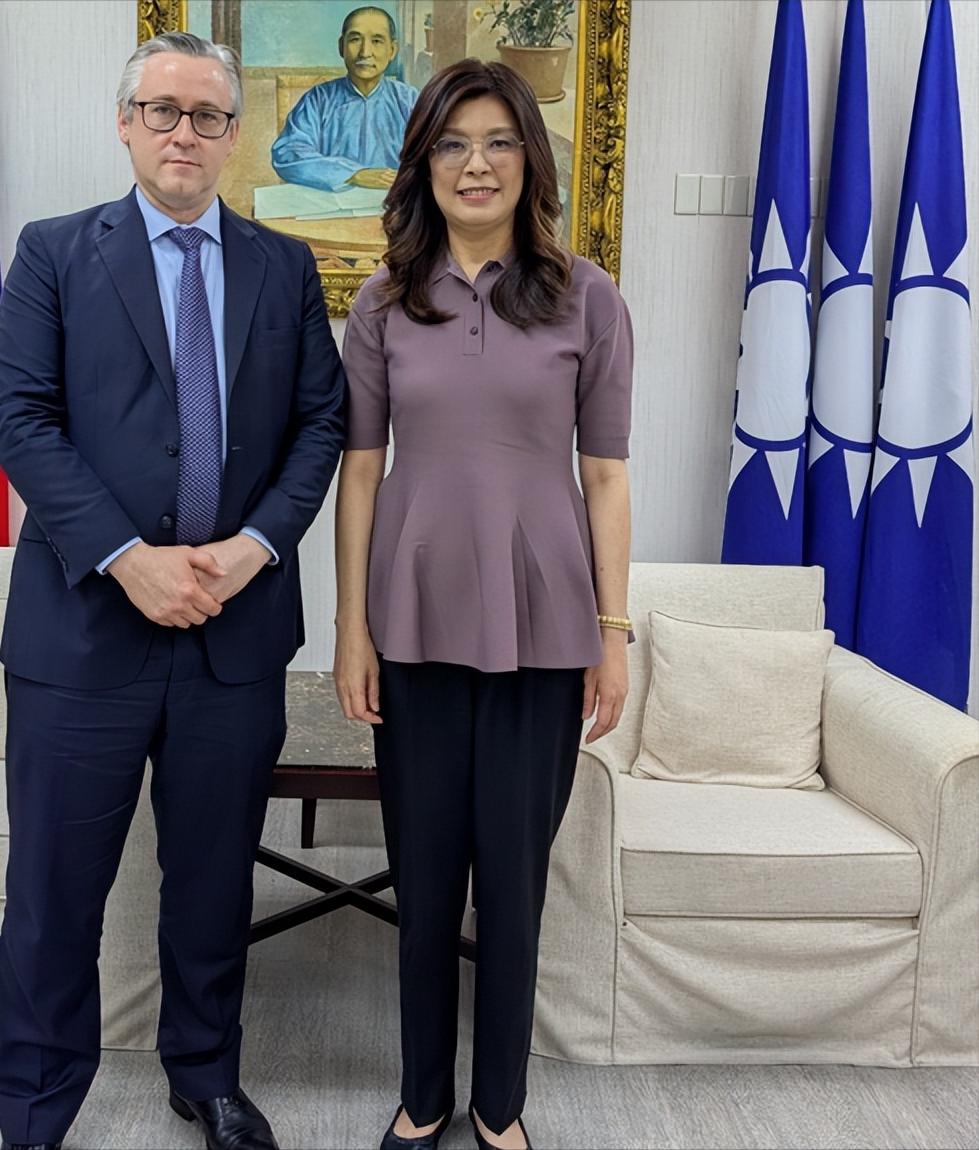 美国嘉宾亲向郑丽文致歉：绿营消息人士太愚蠢
美国国安智库“詹姆士敦基金会”主席孟