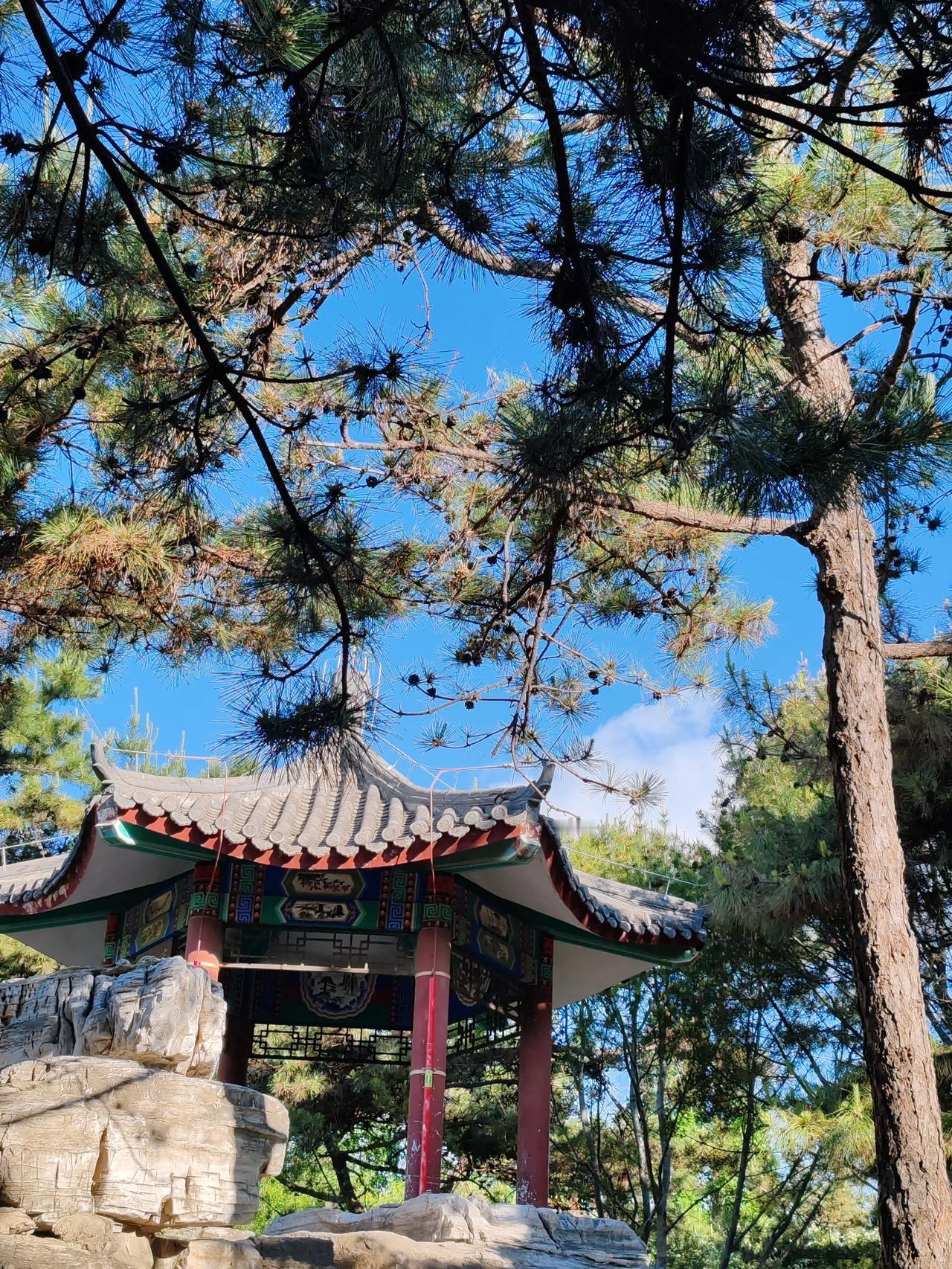 春日生活打卡季春日随手拍，拍于丰台花园。