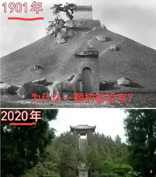 1901年和2020年同一个地方的对比！
为什么以前，这些地方寸草不生啊？
你知