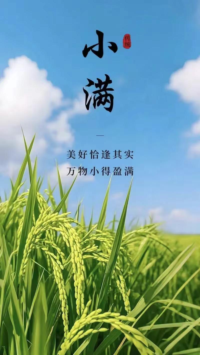 小满是最美的处世哲学：不求大满，微缺即安。生活一半烟火一半清欢，接纳不完美，珍惜