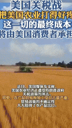 美国农民哽咽绝望了：我种出了平生最好的庄稼，却只能就地销毁，因为中国不买了

近