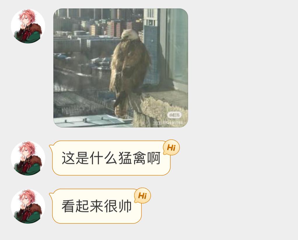 大鵟kuáng的帅气回眸 ​​​