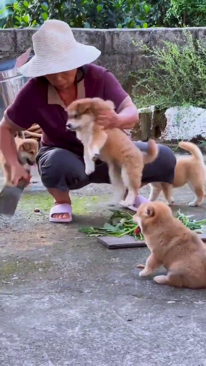 啊，哈哈哈，哎呀，哈哈哈哈，哈哈。