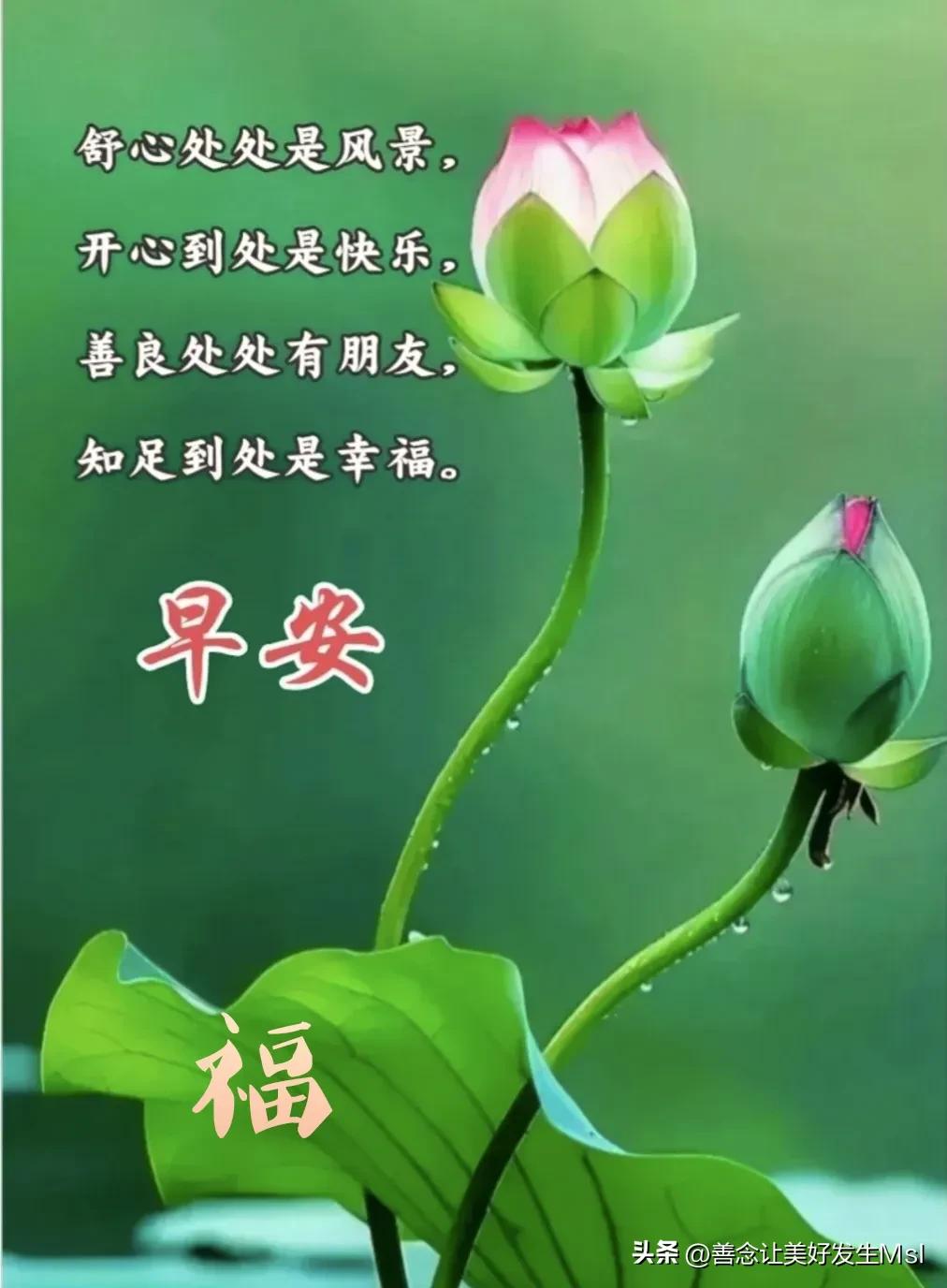 开开心心，百毒不侵；
心态阳光，健健康康；

内心知足，快乐幸福；
心中有爱，