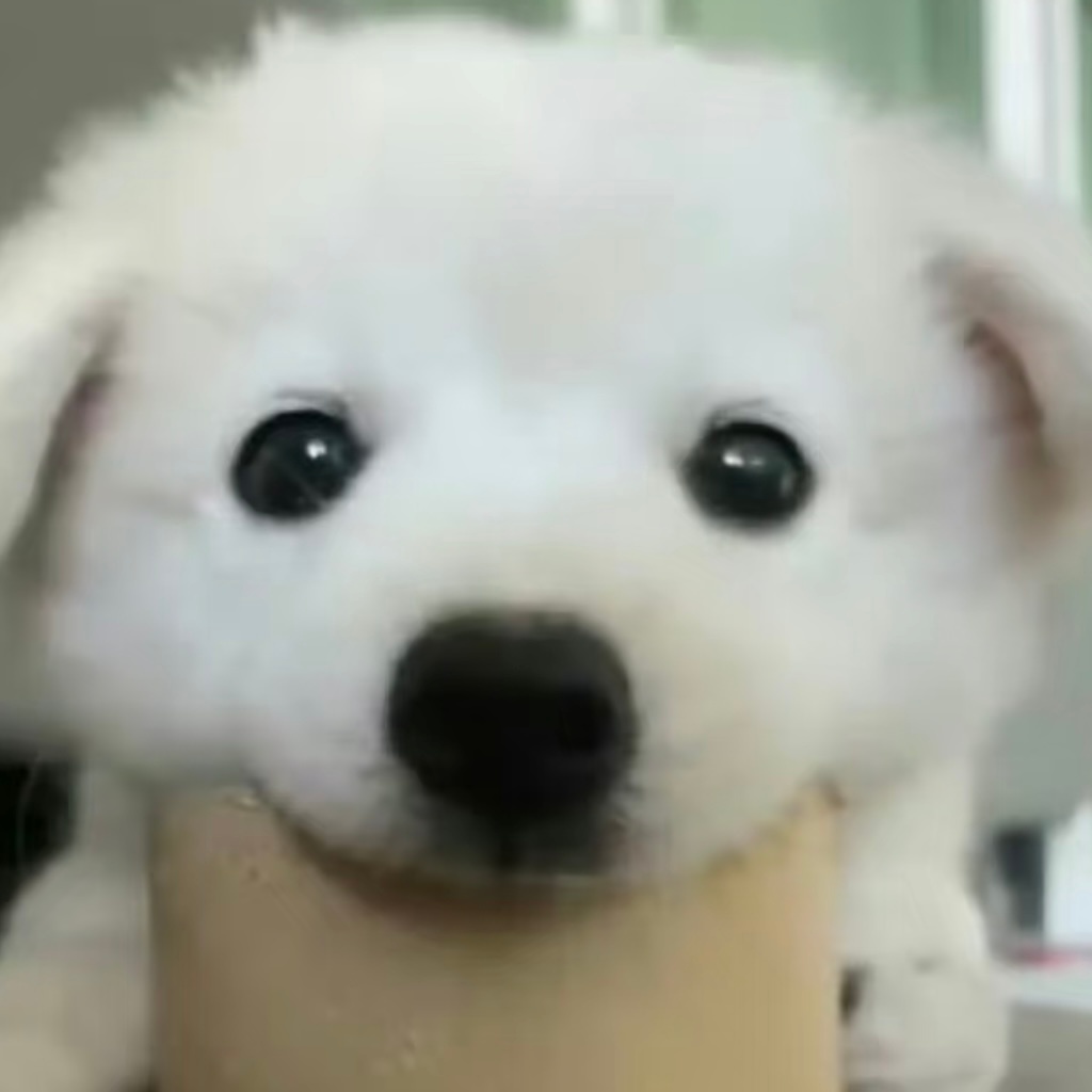 【5352】找不同吗？那我输了！ 
