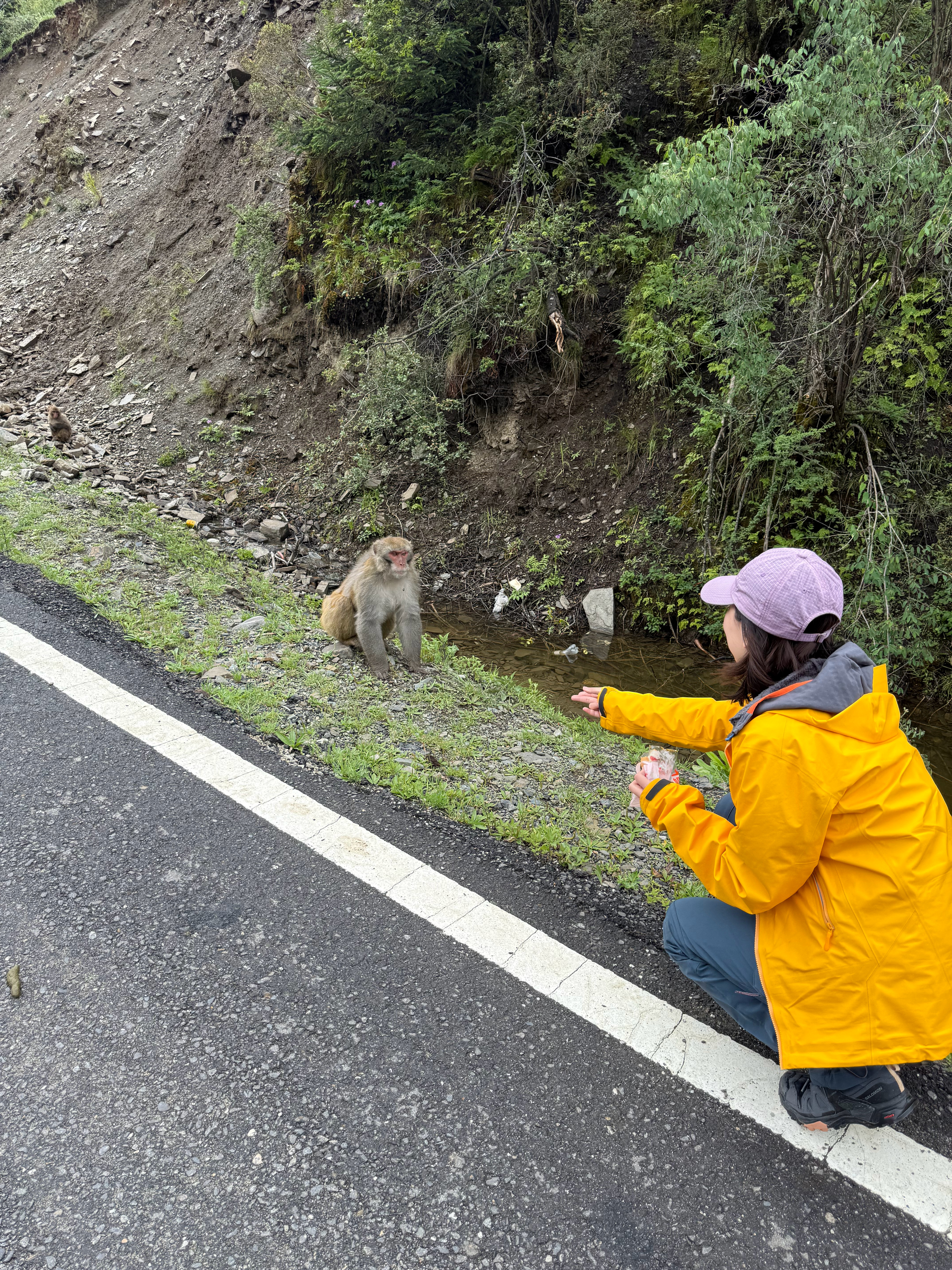 当了一周的野猴子🐒 回到正常人类生活，好不适应啊[哈哈] ​​​