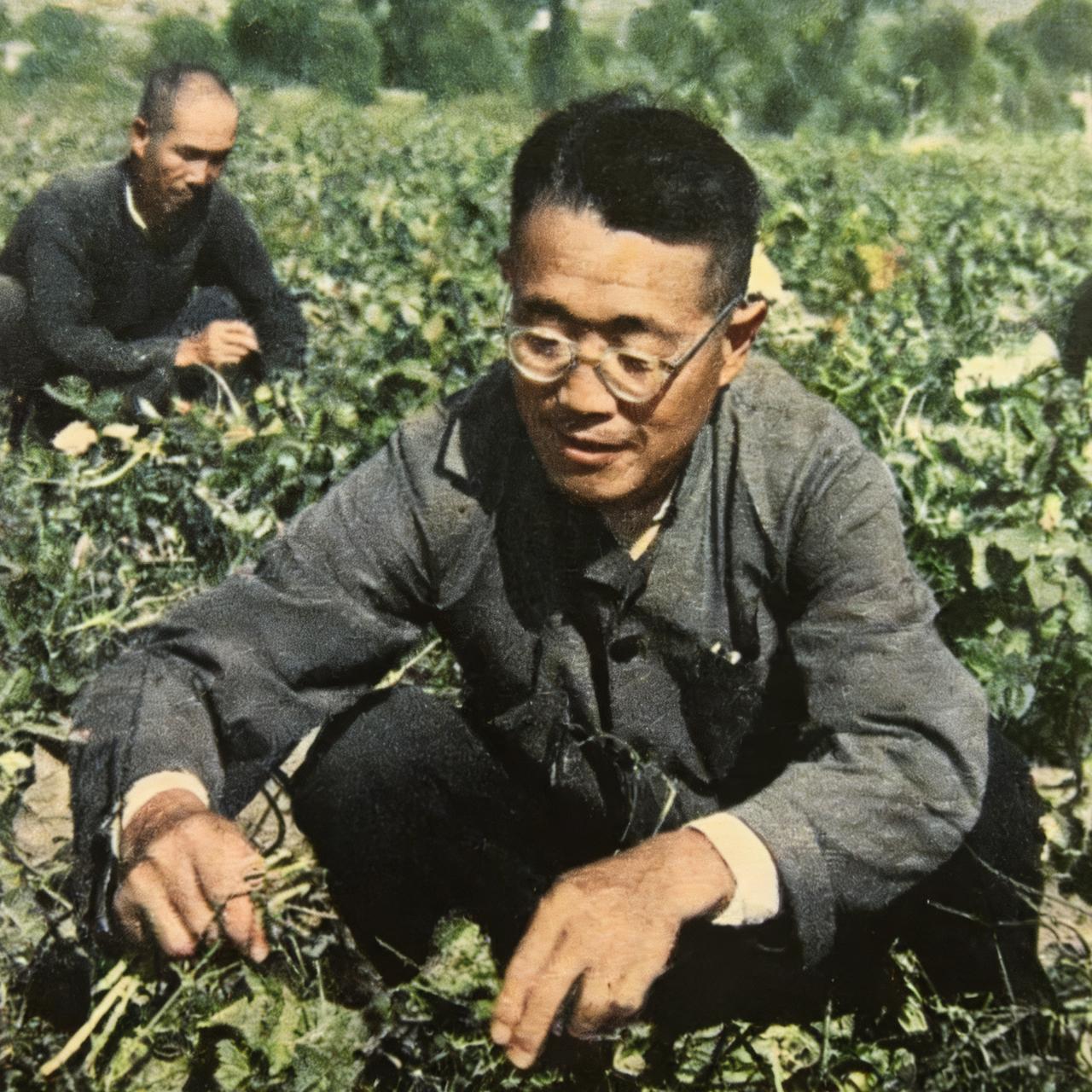 50年代，一个蹲在地里埋头劳作的身影格外显眼——他正是杜聿明。彼时他正在功德林接