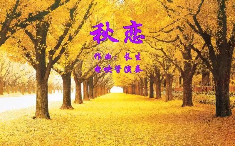 七律•金秋感吟
暑消盼雨送清凉，
遥望梧桐落叶黄。
水上芙蓉羞面目，
庭中木槿巧