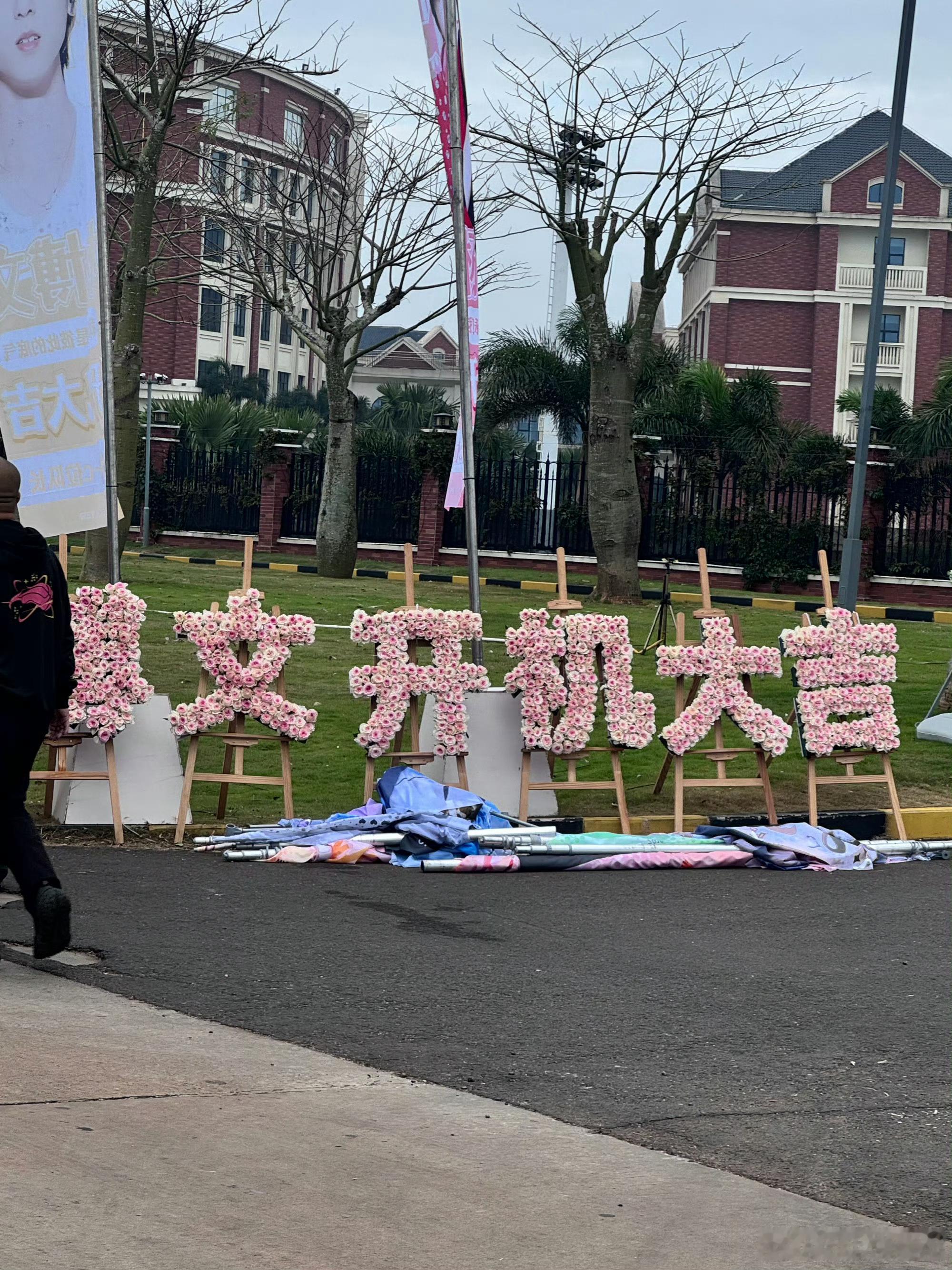 杨博文开机应援粉红花海已就位 少年新篇正开启 祝杨博文新剧开机万事顺遂杨博文 未