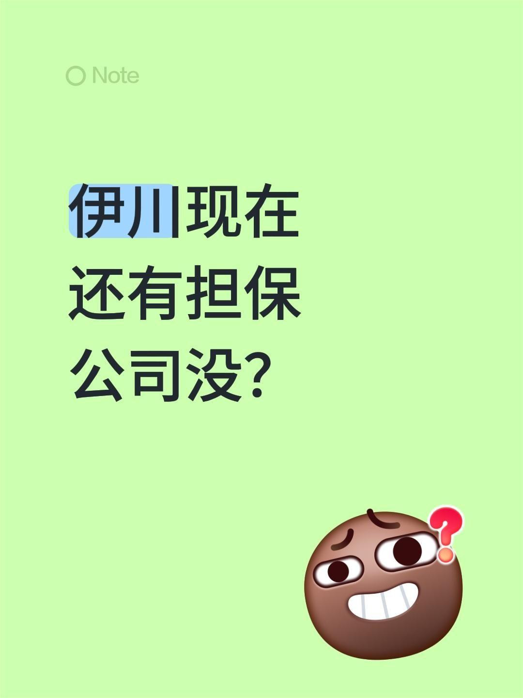 伊川现在还有担保公司没？