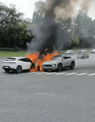 新能源车、电动车上马路，真不知道脑子怎么想的。高速限速120像蜗牛一样你跑80。