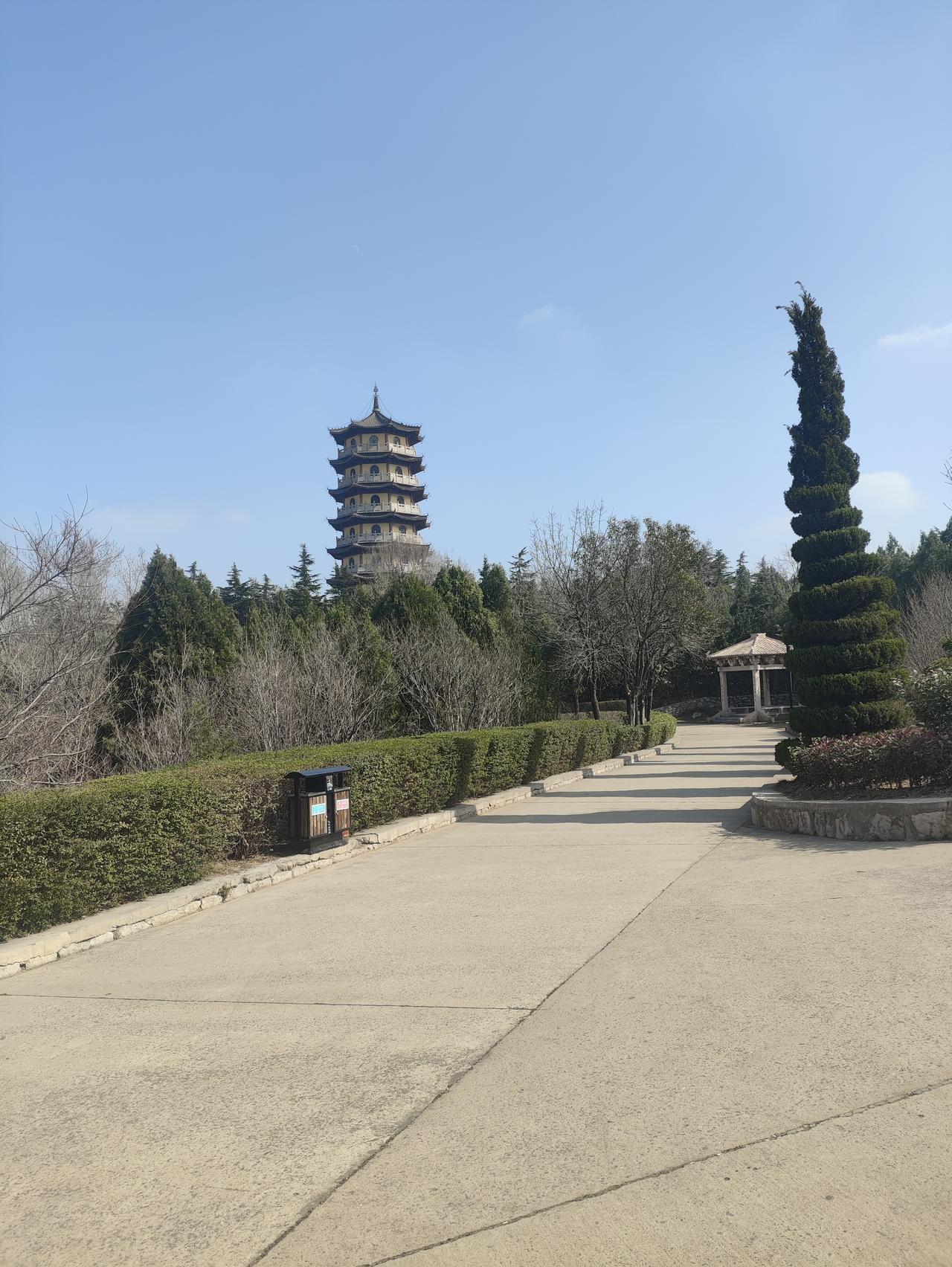 天南地北大拜年