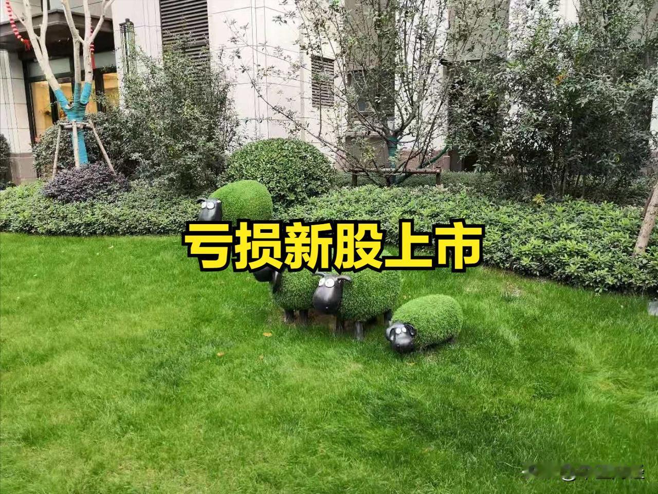 【A股今天：亏损新股上市！】好家伙，三家亏损公司上市，分别有两家有200%左右的