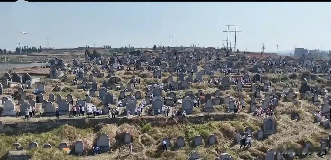 我国人口趋向老龄化，选择什么葬是每个老人都要面临考虑的问题，考虑好了一般会提前做