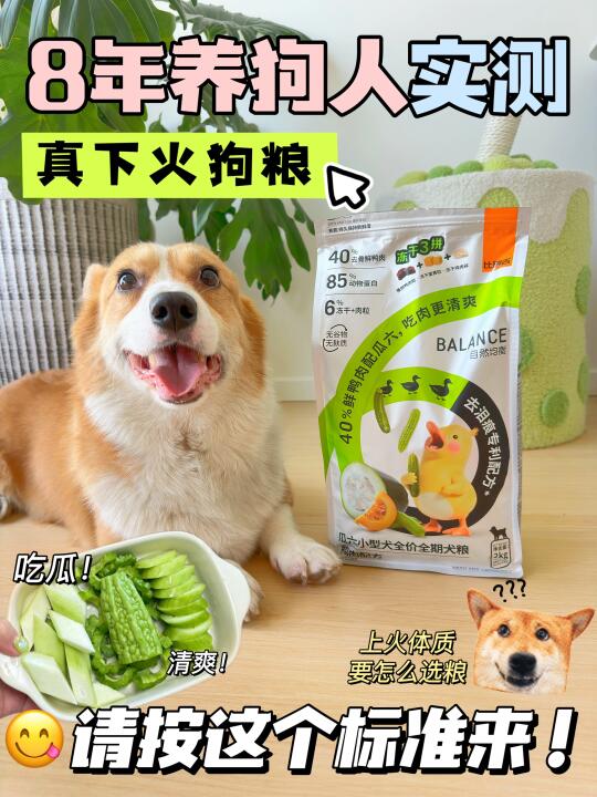 养狗人根本离不开好吃清🔥又放心的狗粮啊！