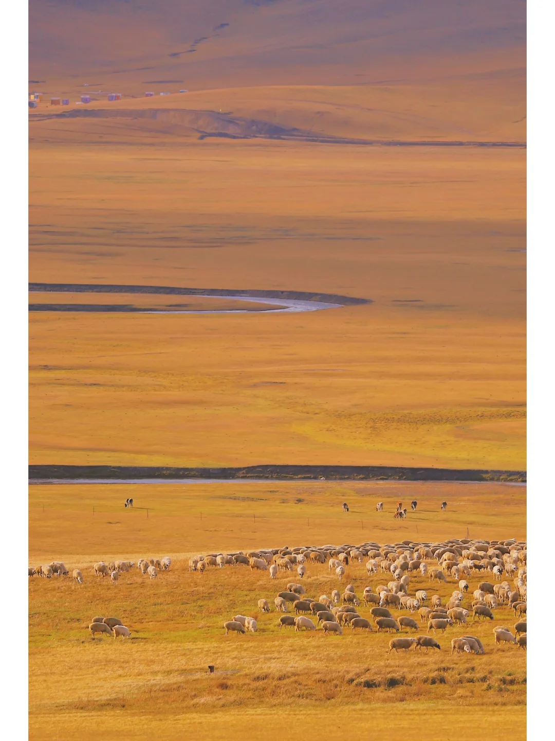 这才是秋天该有的样子🍂这个小城我去了9次