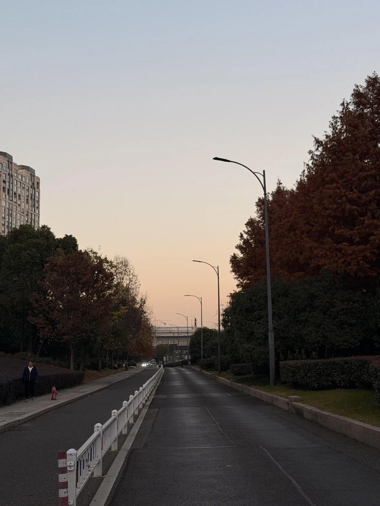 算鸟算鸟，突然想开了，结不了婚，也能给自己兜底吧，我现在就努力存钱，然后照顾好自