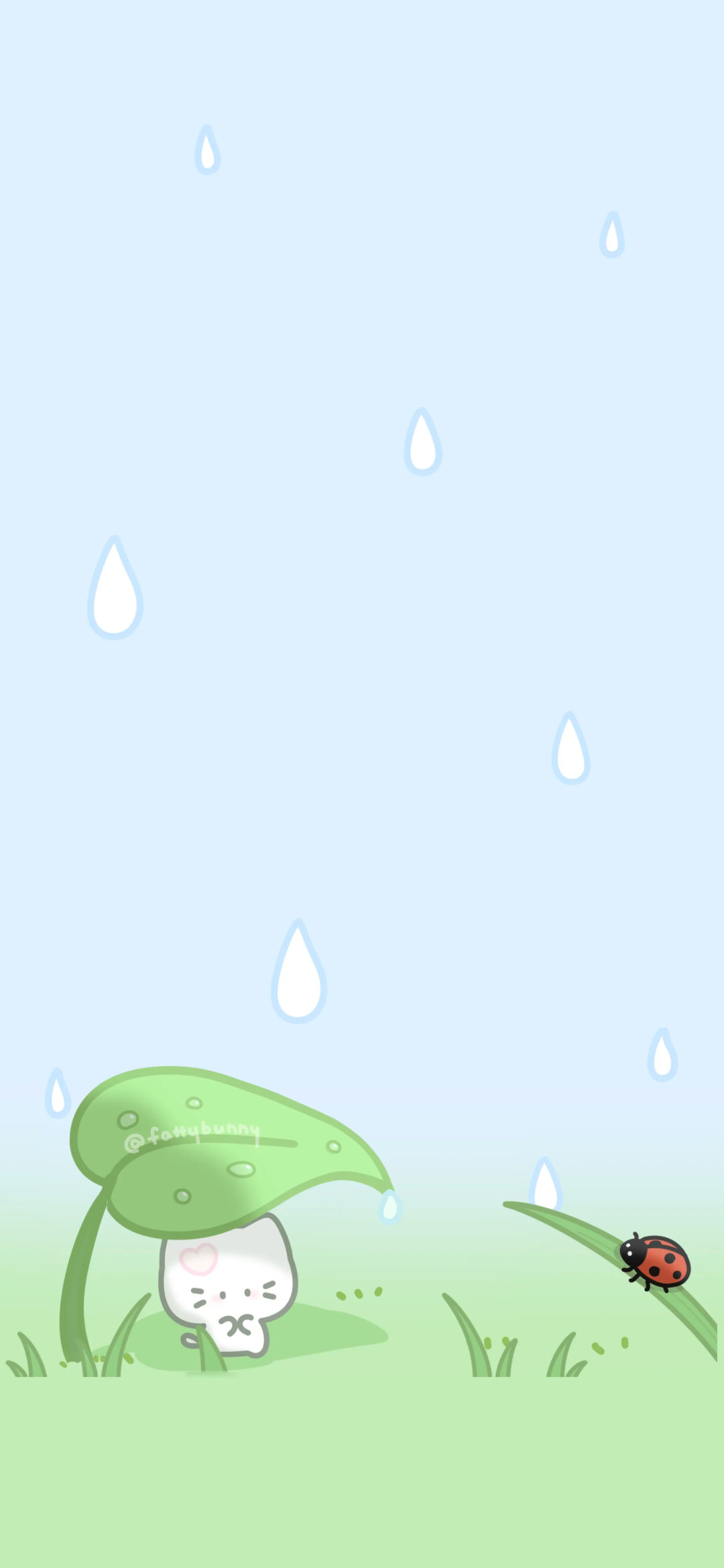 八月壁纸丨一场雨 