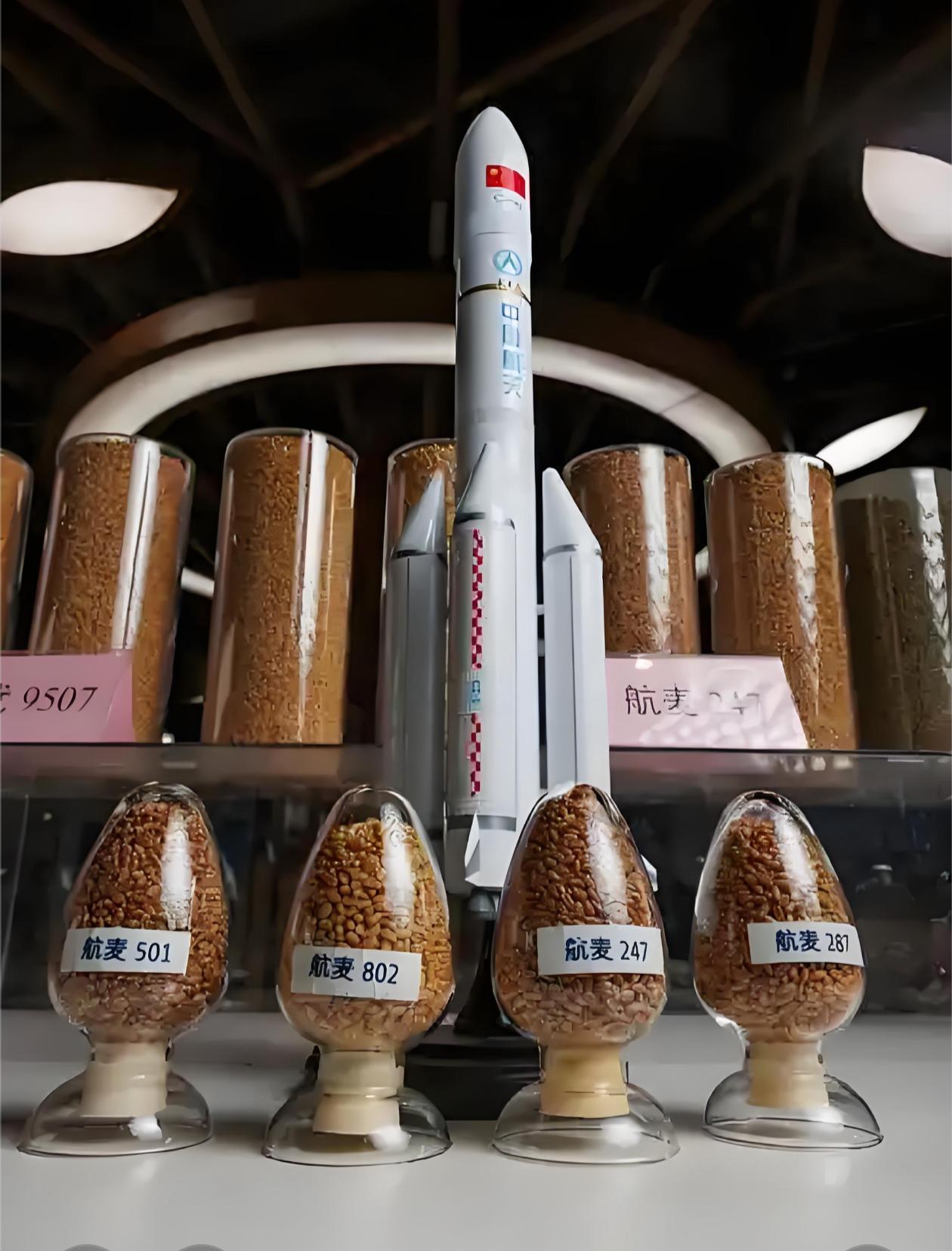 《神农种业(300189)：占位太空育种 》

原创‖文/山逸，版权归本人所有。