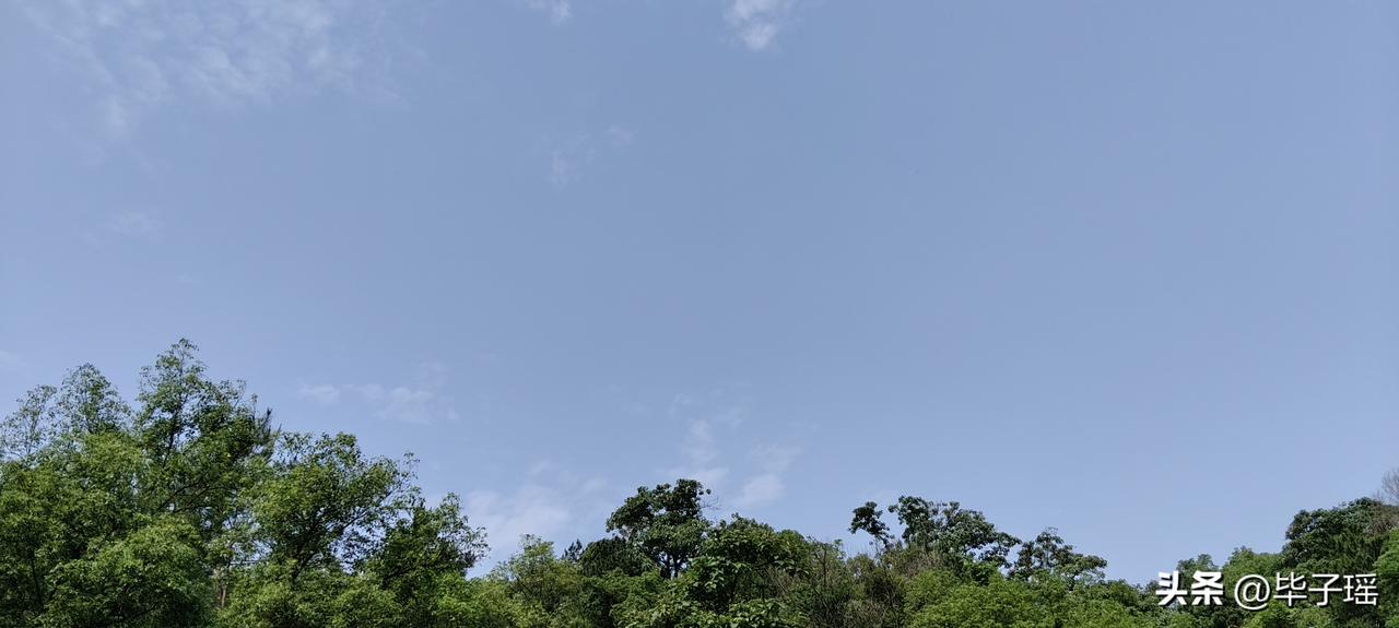 我是一个有尊严有骨气的女人，38岁得了宫颈癌，做了子宫和卵巢双切除，又做了同步的
