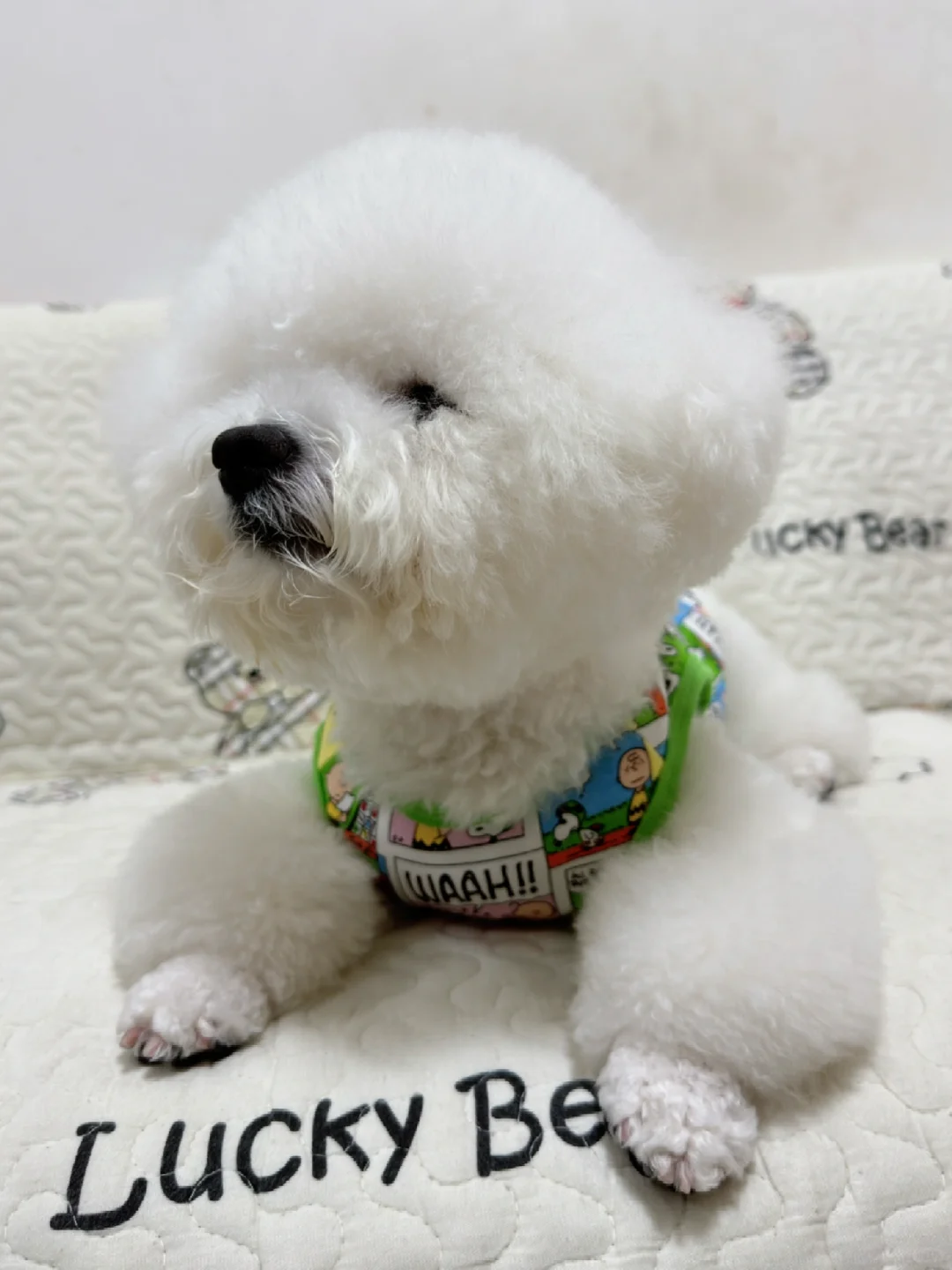 妈妈我新鞋好看吗