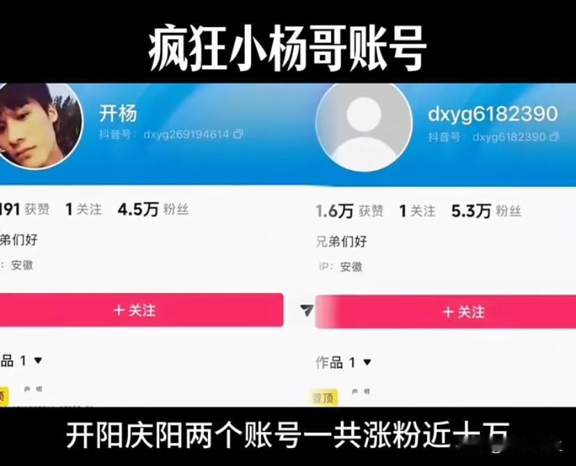 发布声明不到五小时，开杨、庆杨两个新账号合计涨粉近十万

这份数据放在普通人身上