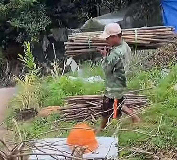小松和秋秋在越南给五叔五婶盖房子，引来了二伯，他说来看看小松和秋秋的孩子可昕。二