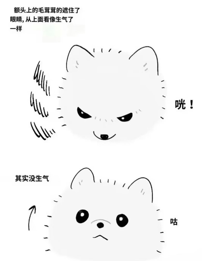 我要被王一博可爱鼠了啊啊啊啊～ 