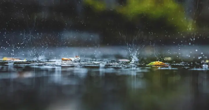台风“红霞”是否会影响河南？气象台：27日夜里至29日将有明显风雨天气