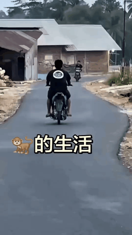 炸街族的下场！
一条新修好的乡村柏油路，村口道路蜿蜒曲折。一个年轻小伙子骑着摩托