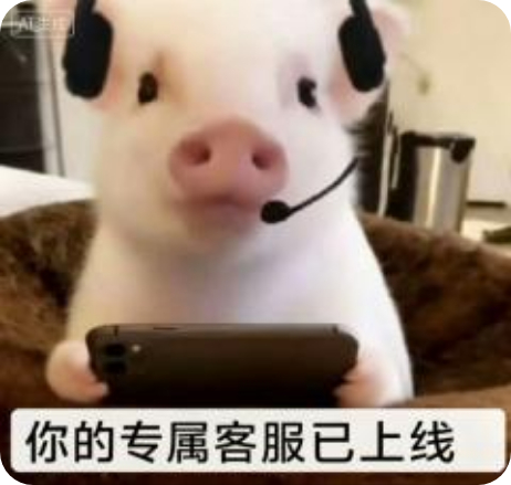 铁粉掉了一个 